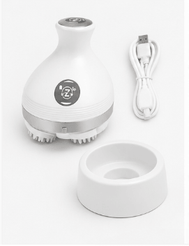 Electric Scalp Massager in Pakistan